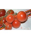 Семена томата Голубая Ель - коллекционный сорт