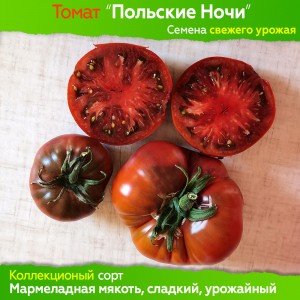 Семена томата Польские Ночи - коллекционный сорт