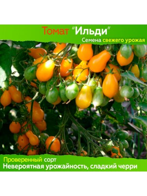 Семена томата Ильди - коллекционный сорт