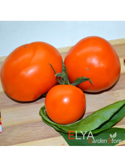 Семена томата Апельсин - коллекционный сорт