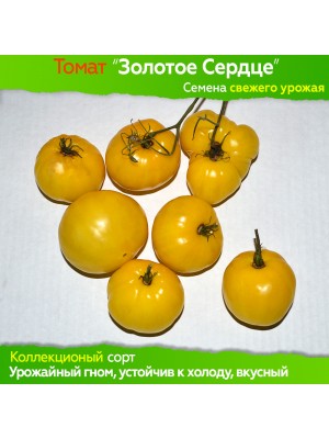 Семена томата Золотое Сердце (гном) - коллекционный сорт