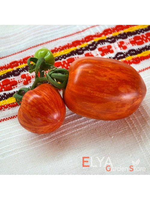 Семена томата Шимейг Крег - коллекционный сорт
