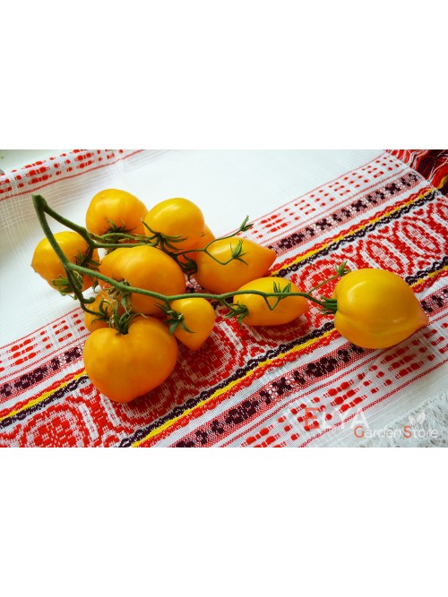 Семена томата Желтые Гребешки - коллекционный сорт