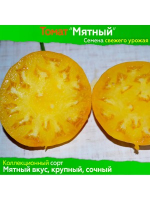 Семена томата Мятный - коллекционный сорт