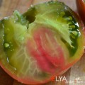 Семена томата Медная Река - коллекционный сорт