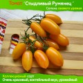 Семена томата Стыдливый Румянец (Remko) - коллекционный сорт