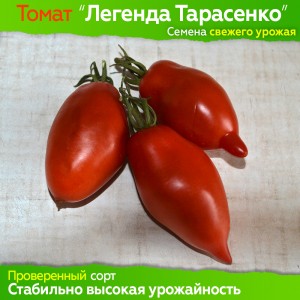 Семена томата Легенда Тарасенко - коллекционный сорт