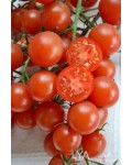 Семена томата Сладкий Миллион - коллекционный сорт
