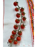 Семена томата Сладкий Миллион - коллекционный сорт