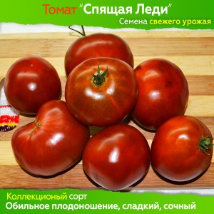 Семена томата Спящая леди (гном) - коллекционный сорт