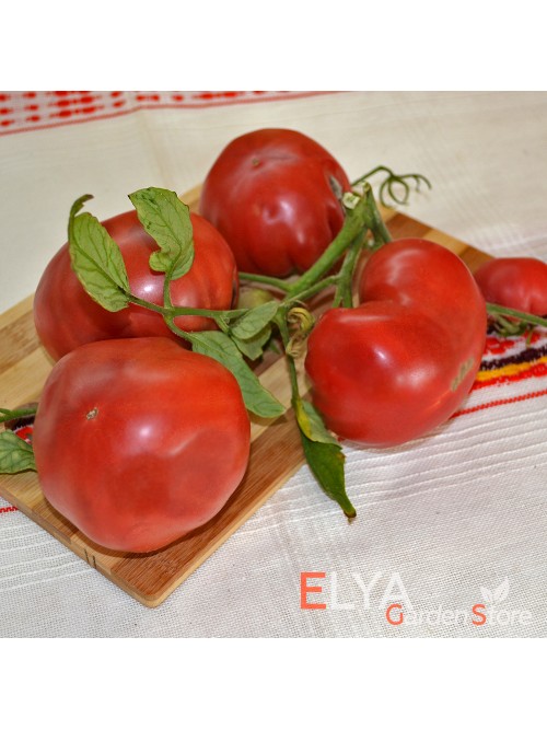 Семена томата Кристина Ватчева - коллекционный сорт