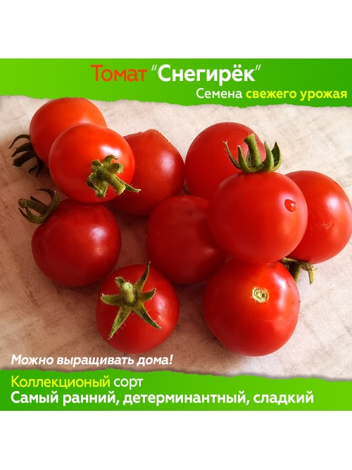 Семена томата Снегирёк - коллекционный сорт