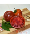 Семена томата Фиолетовый Нуар - коллекционный сорт
