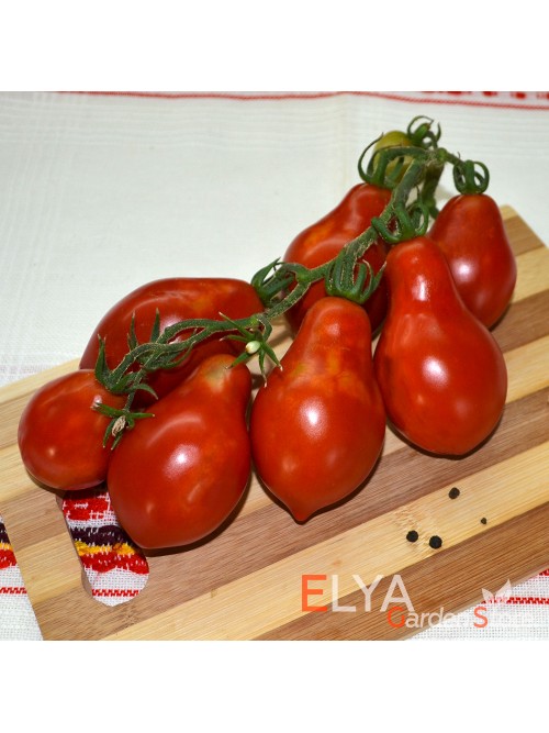 Семена томата Весенняя Капель - коллекционный сорт