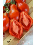 Семена томата Весенняя Капель - коллекционный сорт