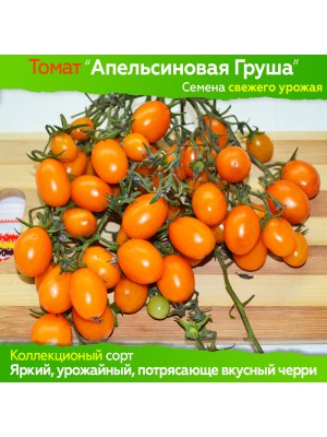 Семена томата Апельсиновая Груша - коллекционный сорт