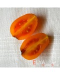 Семена томата Апельсиновая Груша - коллекционный сорт