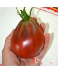 Семена томата Старинное Сердце Равенны - коллекционный сорт