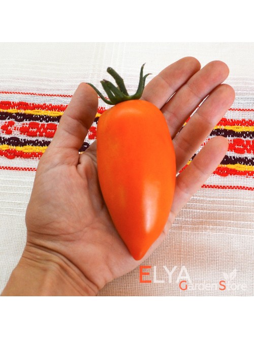 Семена томата Елисей - коллекционный сорт