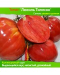 Семена томата Люсиль Тиллсон - коллекционный сорт