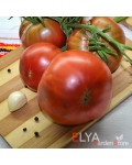 Семена томата Мутная Мамба - коллекционный сорт