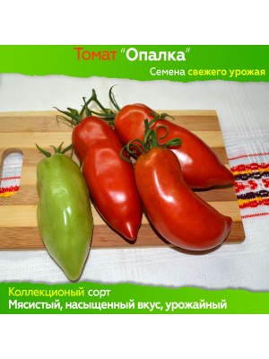 Семена томата Опалка - коллекционный сорт
