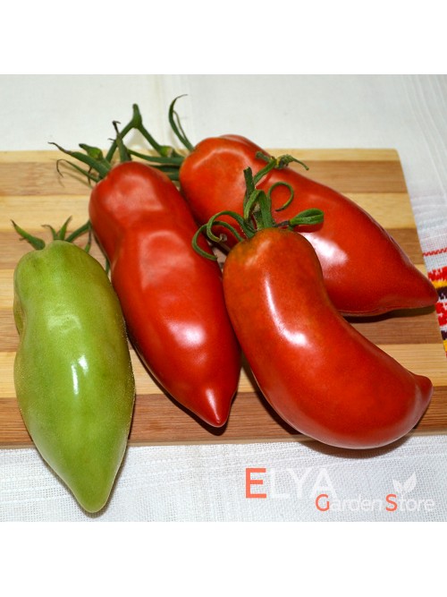 Семена томата Опалка - коллекционный сорт
