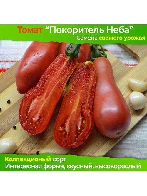 Семена томата Покоритель Неба - коллекционный сорт