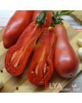 Семена томата Покоритель Неба - коллекционный сорт
