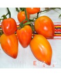 Семена томата Похвала Марины - коллекционный сорт