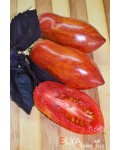 Семена томата Розовая Пантера (гном) - коллекционный сорт
