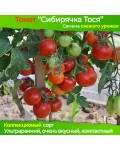 Семена томата Сибирячка Тося - коллекционный сорт