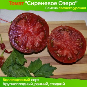 Семена томата Сиреневое Озеро - коллекционный сорт