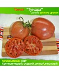 Семена томата Тундра - коллекционный сорт