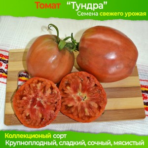 Семена томата Тундра - коллекционный сорт