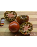 Семена томата Циндао - коллекционный сорт