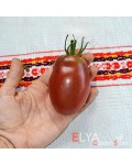 Семена томата Роксана - коллекционный сорт