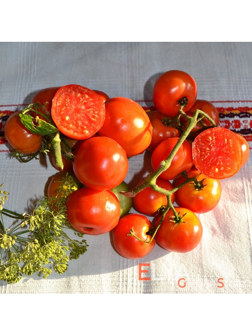 Семена томата Бетта - коллекционный сорт