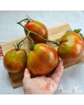 Семена томата Сердце Марши - коллекционный сорт