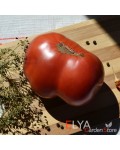 Семена томата Черный Франкенштейн - коллекционный сорт