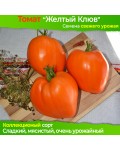 Семена томата Желтый Клюв - коллекционный сорт