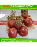 Семена томата Черный из Тулы - коллекционный сорт