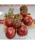 Семена томата Черный из Тулы - коллекционный сорт
