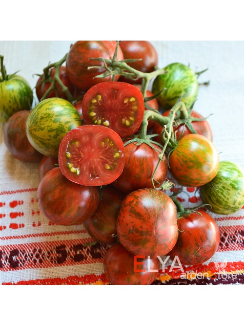 Семена томата Спайк - коллекционный сорт