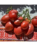 Семена томата Яйцо Быка с реки Гуадаррама - коллекционный сорт