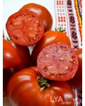 Семена томата Кызыл Тау - коллекционный сорт