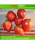 Семена томата Хейс - коллекционный сорт
