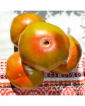 Семена томата Кленовый Сироп - коллекционный сорт