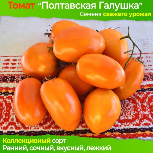 Семена томата Полтавская Галушка - коллекционный сорт