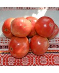 Семена томата Дакоста Португальская - коллекционный сорт